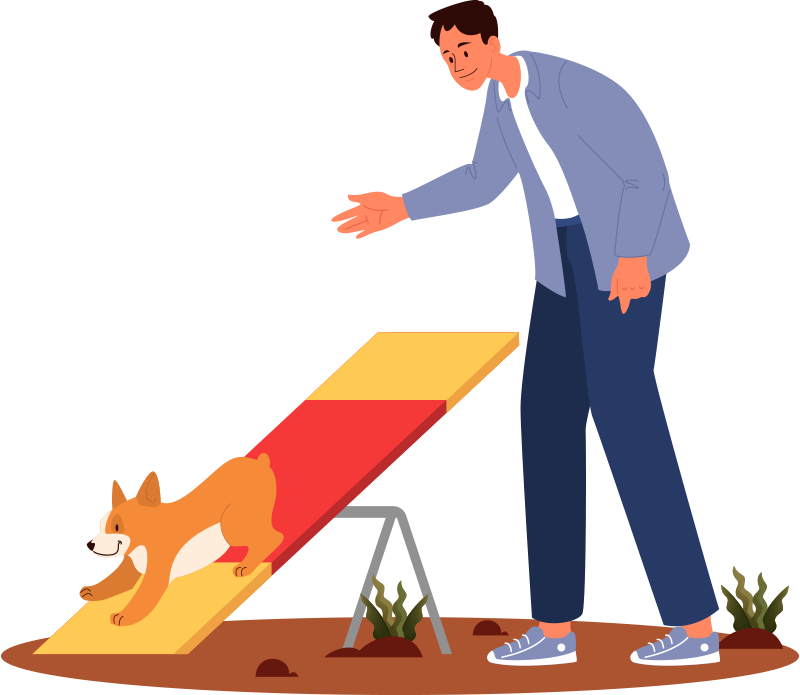 Εκπαίδευση κουταβιού