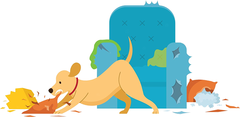 Προβληματική συμπεριφορά σκύλου