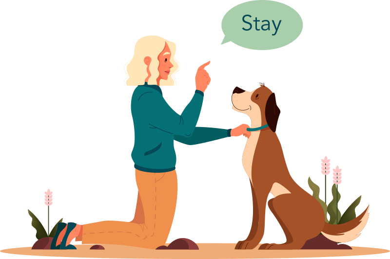 Βασική υπακοή σκύλου